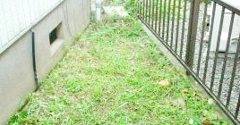 庭木剪定・草刈