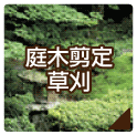 庭木剪定